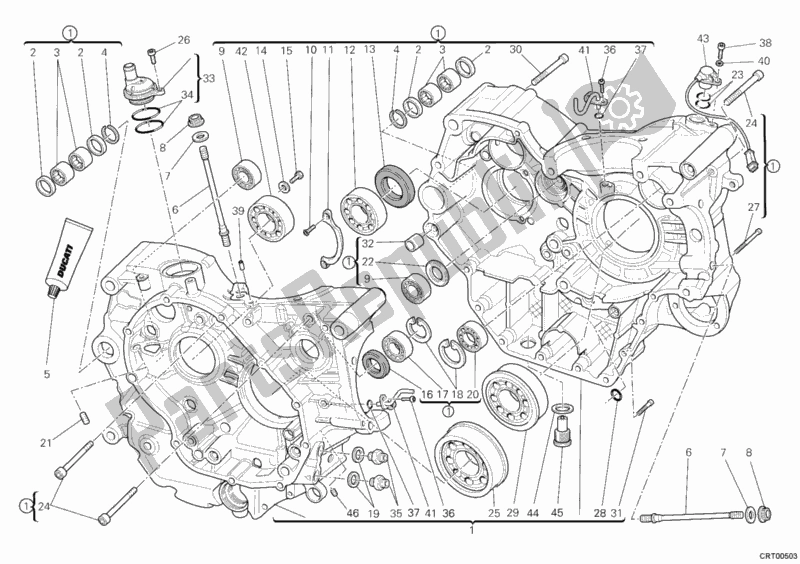 Tutte le parti per il Carter del Ducati Monster 1100 S ABS 2010